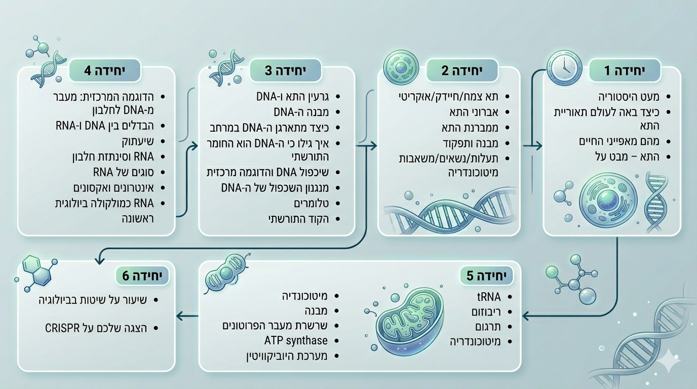 מפת הקורס